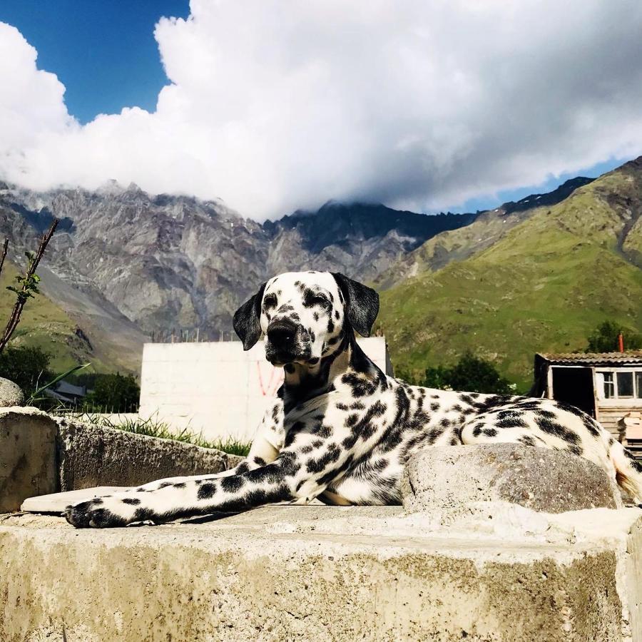 Vache Hotel Kazbegi Dış mekan fotoğraf