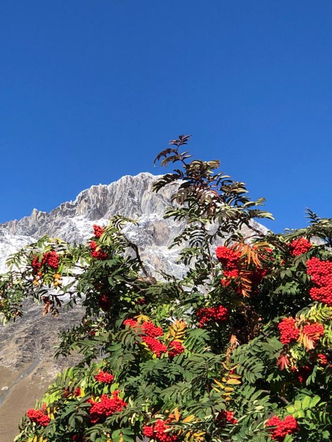 Vache Hotel Kazbegi Dış mekan fotoğraf