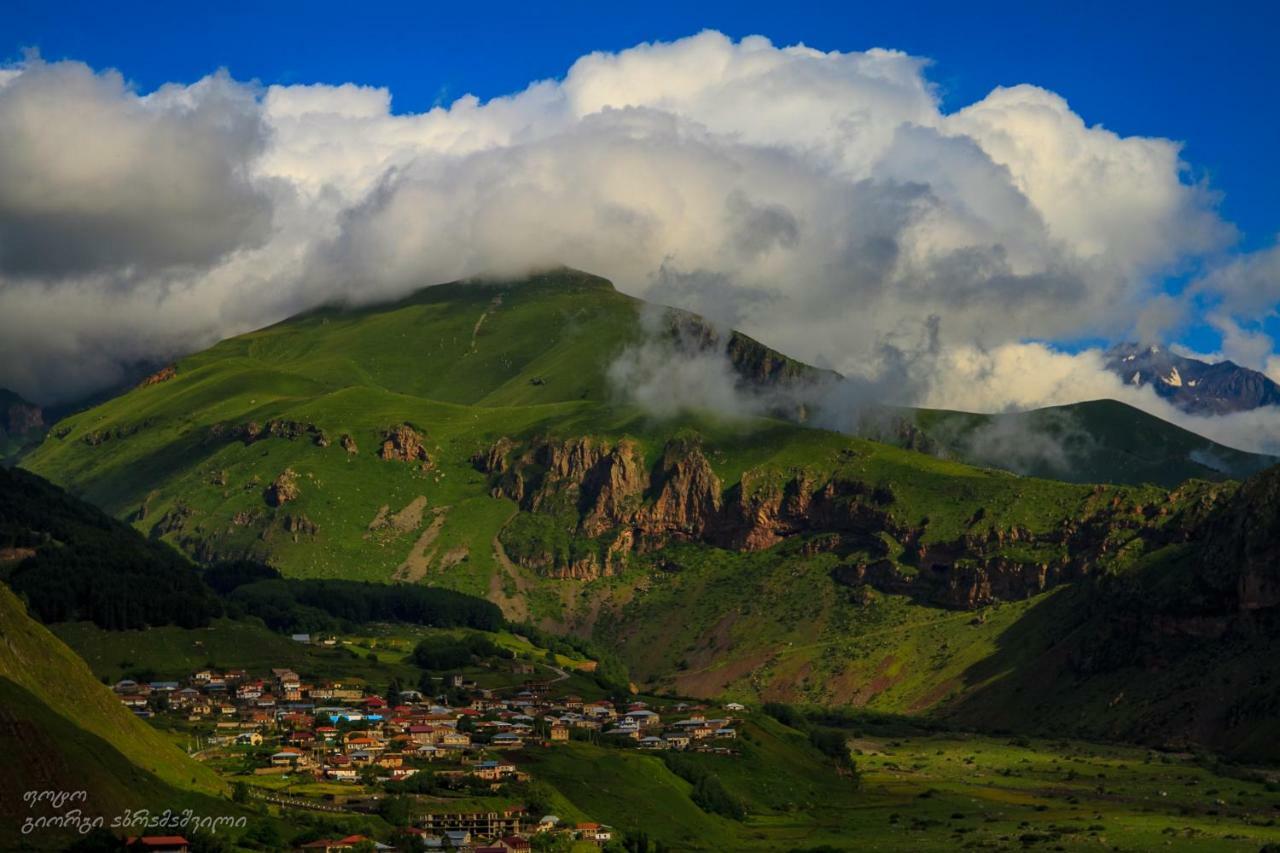 Vache Hotel Kazbegi Dış mekan fotoğraf